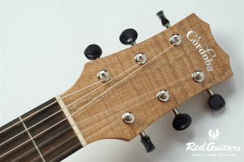Mini II FMH